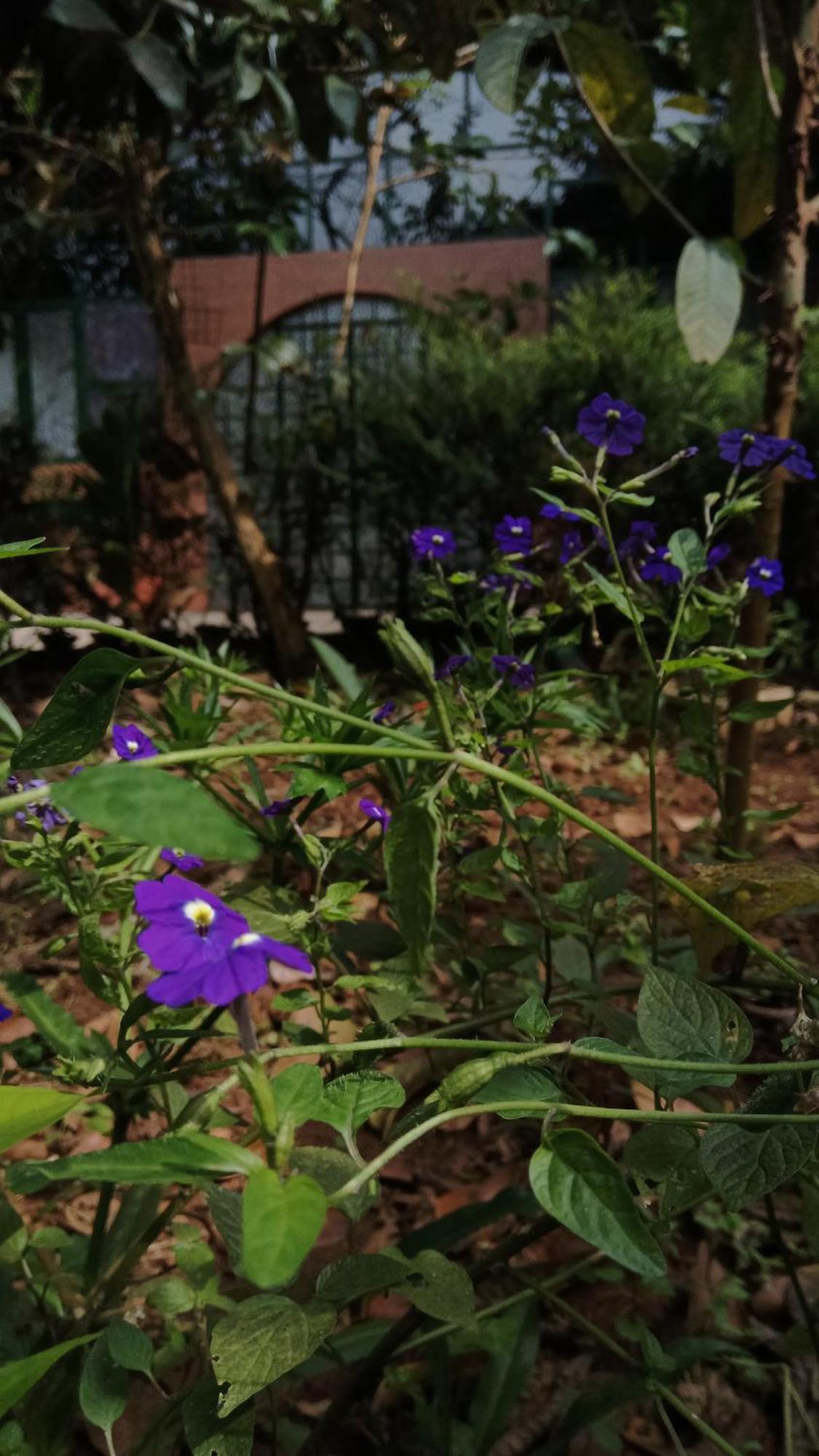 Jungle Valley Ayurvedic Spa Resort Meppādi 外观 照片