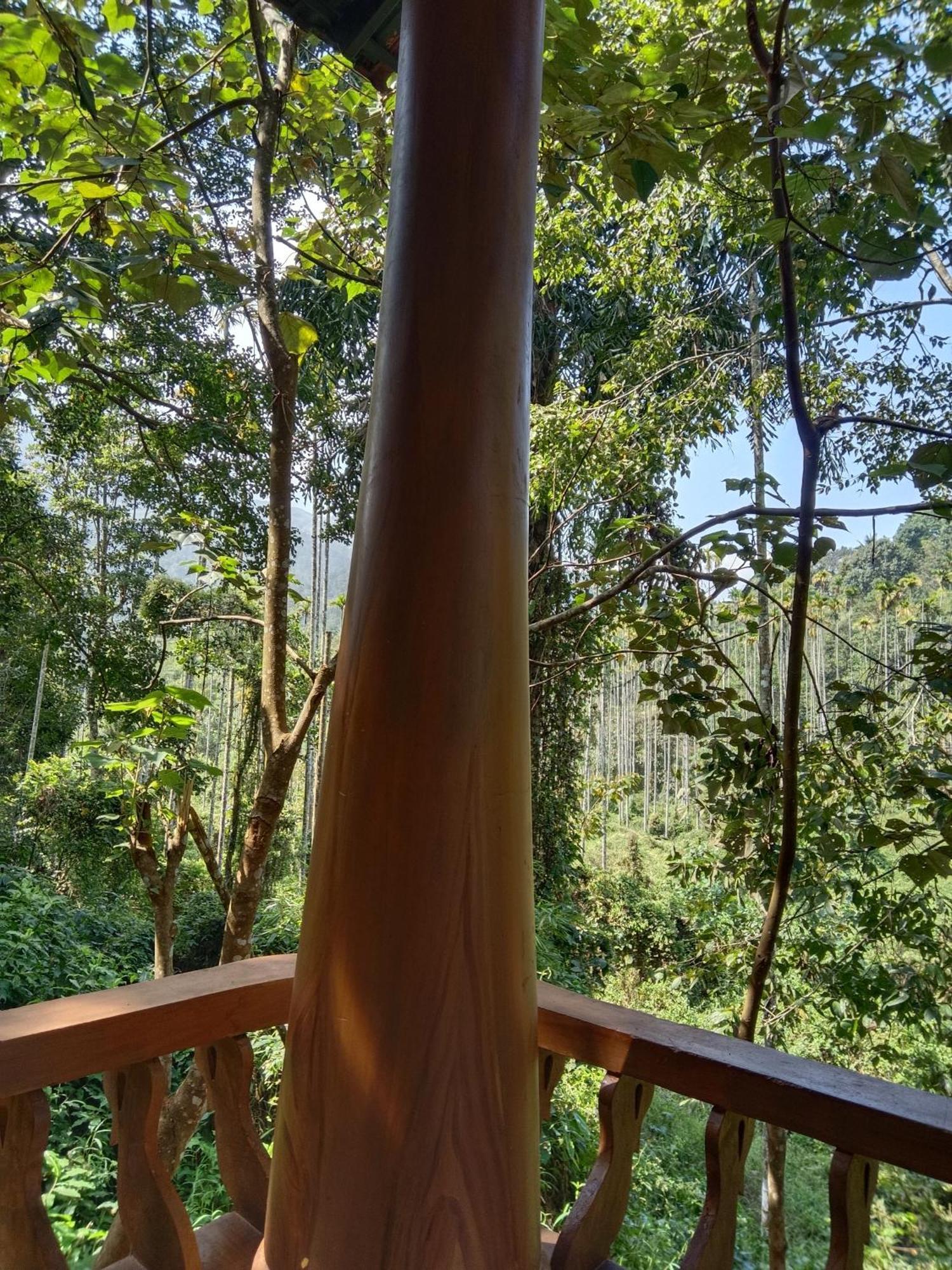 Jungle Valley Ayurvedic Spa Resort Meppādi 外观 照片