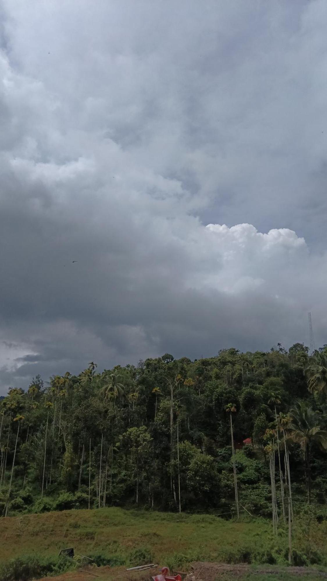 Jungle Valley Ayurvedic Spa Resort Meppādi 外观 照片