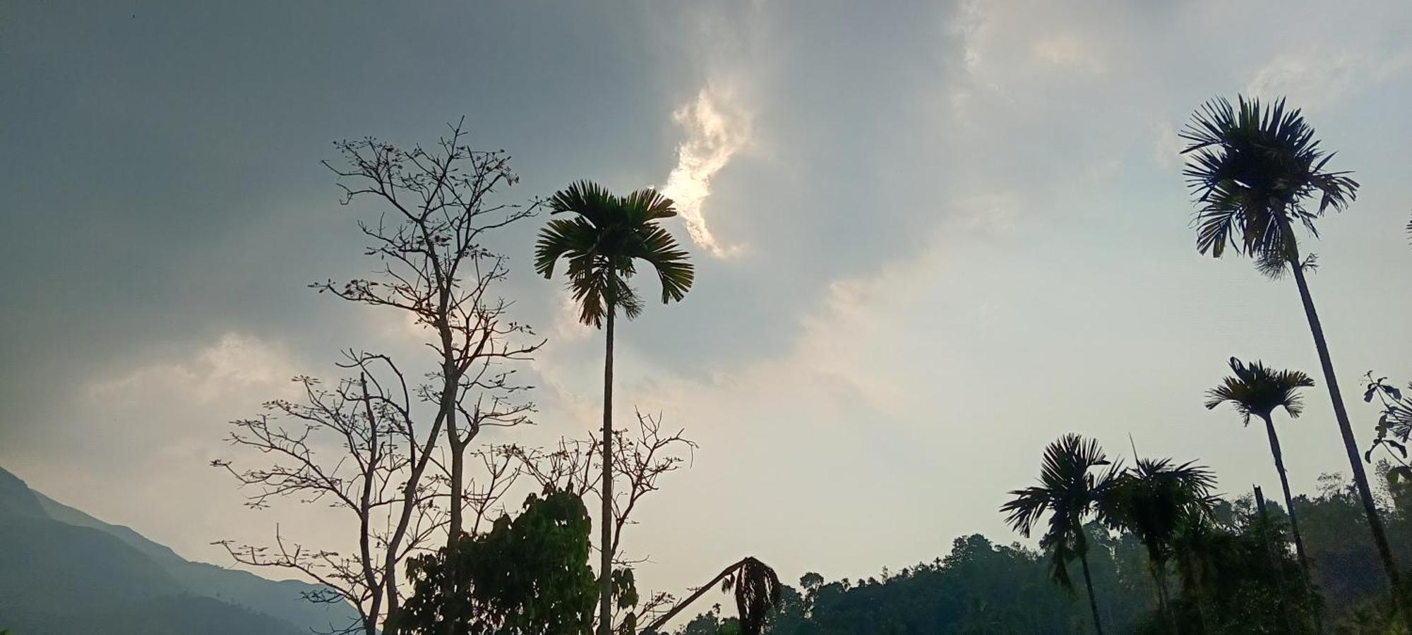 Jungle Valley Ayurvedic Spa Resort Meppādi 外观 照片