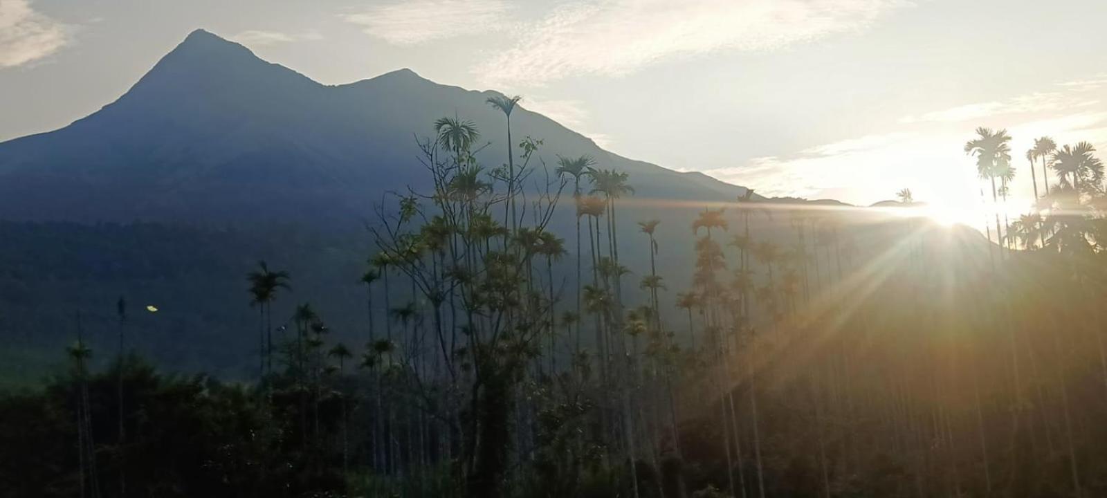 Jungle Valley Ayurvedic Spa Resort Meppādi 外观 照片