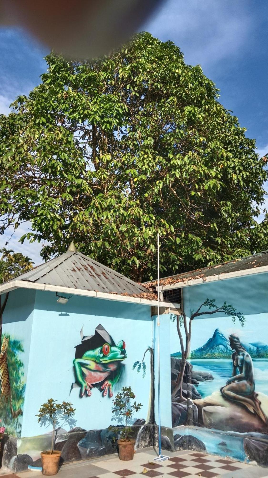 Jungle Valley Ayurvedic Spa Resort Meppādi 外观 照片