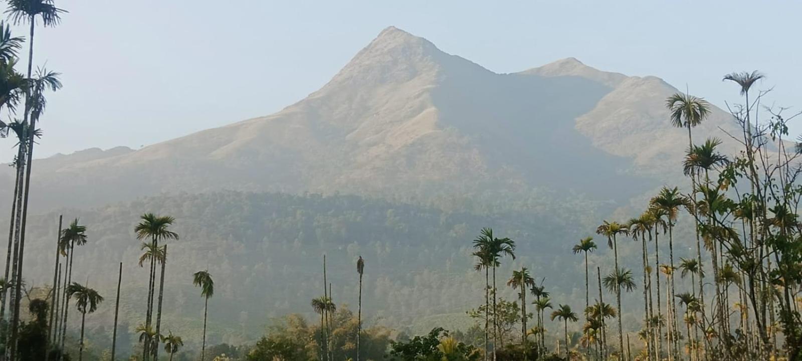 Jungle Valley Ayurvedic Spa Resort Meppādi 外观 照片